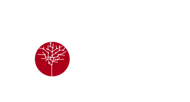 onecohellas-oneweb-eett